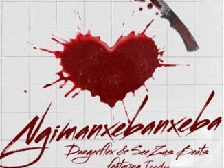 DangerFlex – Ngimanxebanxeba