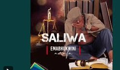 Saliwa & Zulu Messengers - Umeqiselo
