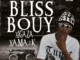 Xipopani (feat. J JOHN TheBigBaby, Akanitouch & Masia) · Blissbouy