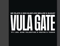Mr Pilato – Vula Gate ft. Ego Slimflow, Mellow & Sleazy, LSG, Gobi Valentino, Wayne & Tango