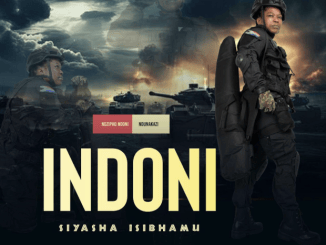 iNdoni - Ngiyagowa