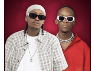 ShaunMusiQ – Designer ft Daliwonga,CowBoii