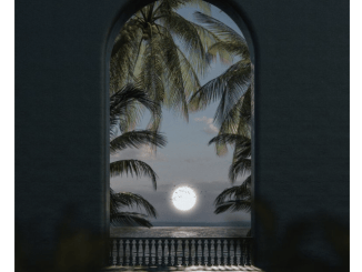 Calvin Fallo – Distorted