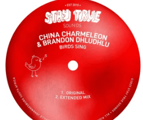 China Charmeleon & Brandon Dhludhlu – Birds Sing (Extended Mix)