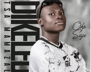 OHP Sage – Up and Down ft. 015 MusiQ & Van City MusiQ