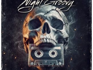 Virus Instrumental, DJ Maphorisa & Xduppy – Night Groovy