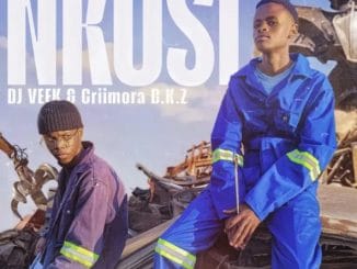 DJ Veek & Criimora b.k.z – NKOSI