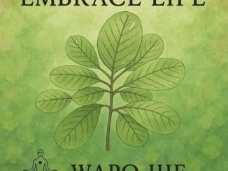 WAPO Jije – Embrace Life